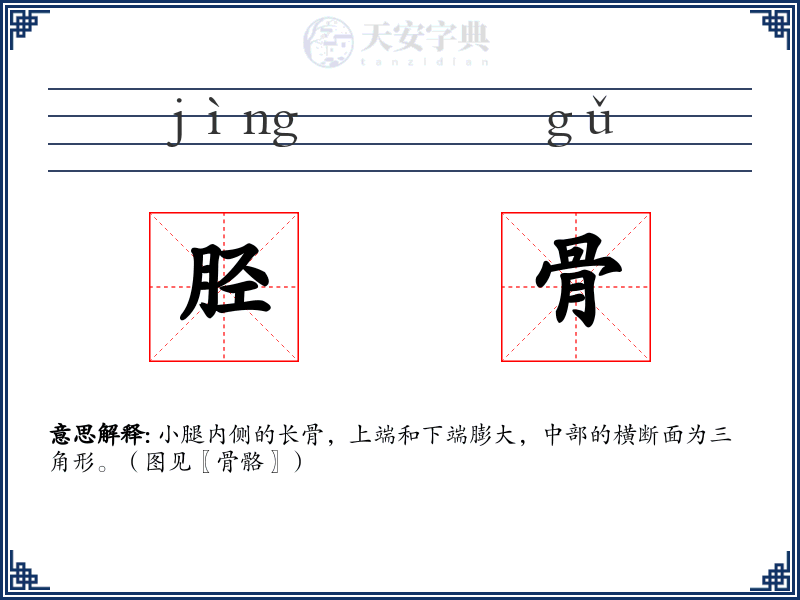 胫骨