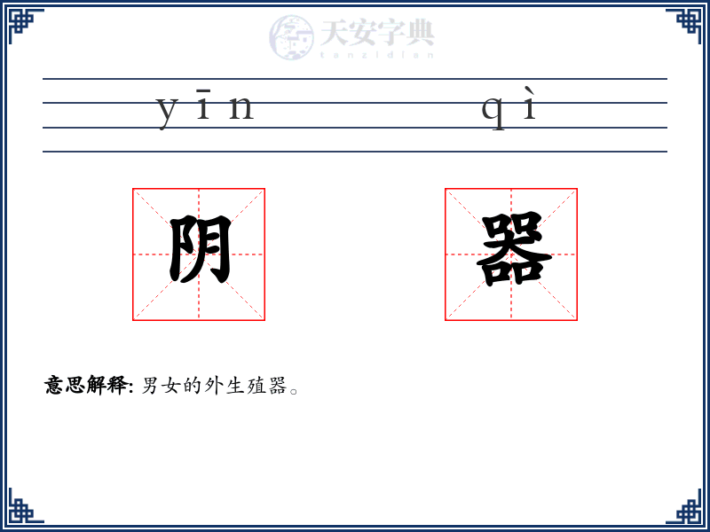 阴器