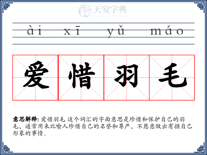 爱惜羽毛