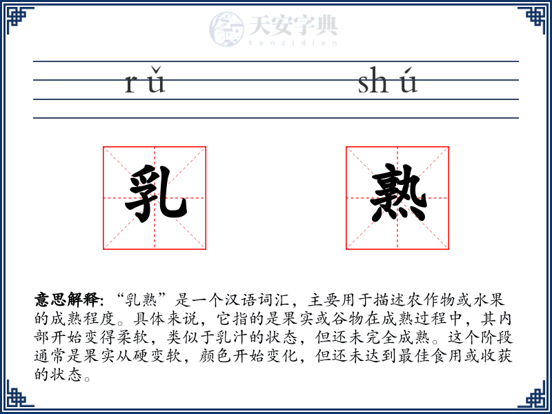 乳熟