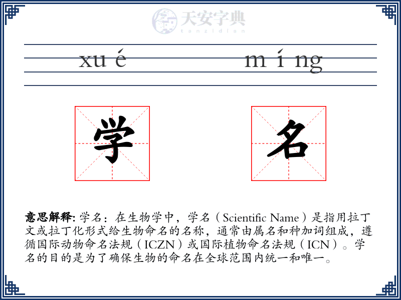 学名