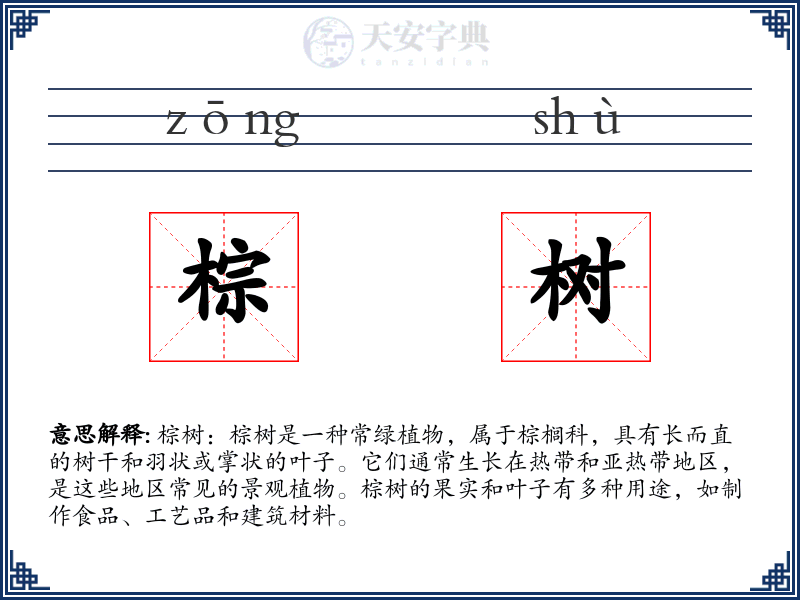 棕树