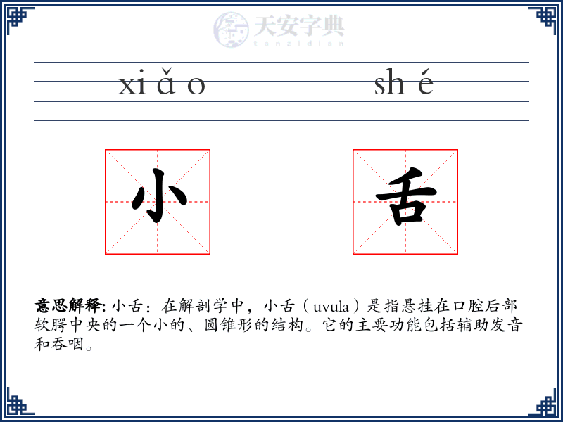 小舌