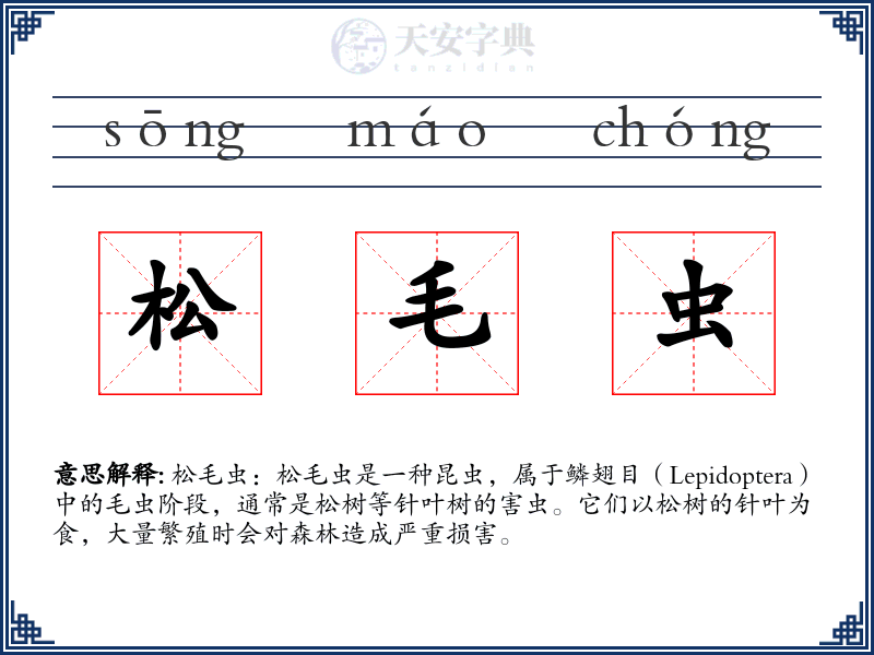松毛虫
