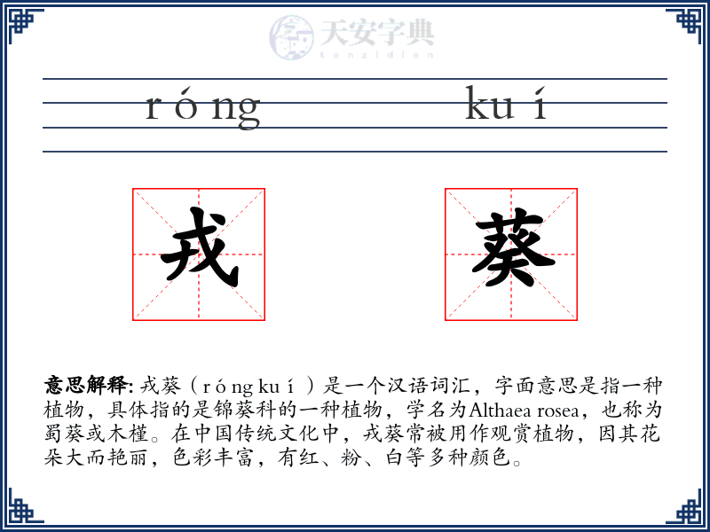 戎葵
