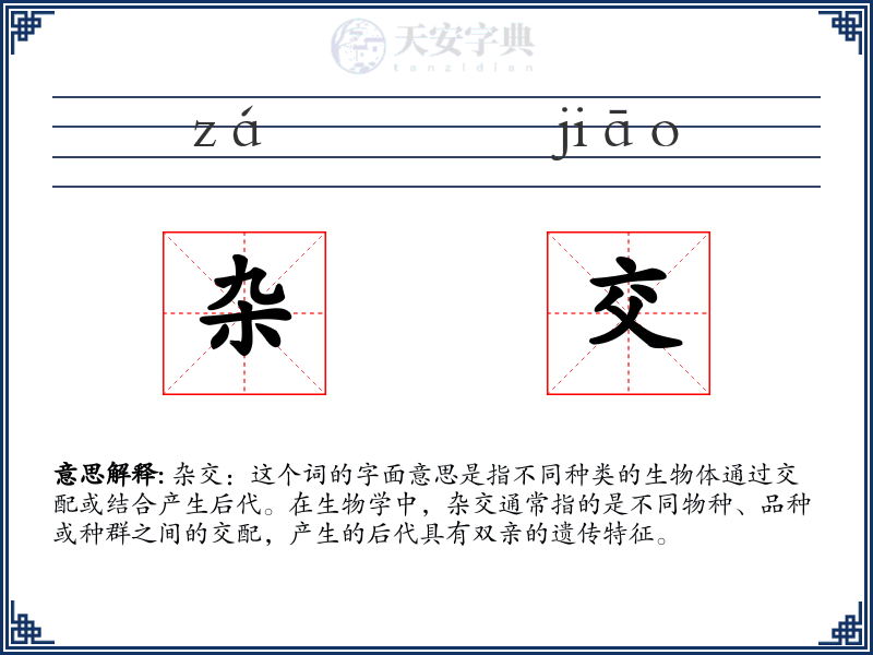 杂交