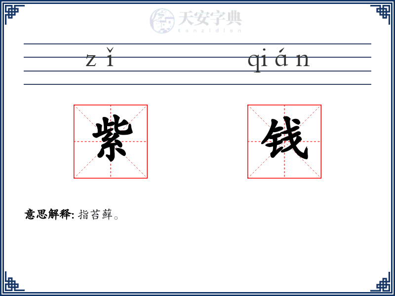 紫钱