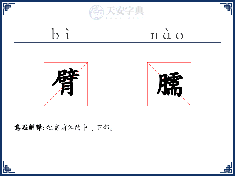 臂臑