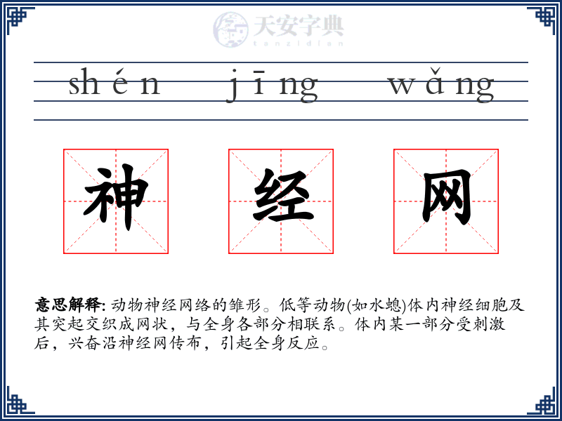 神经网