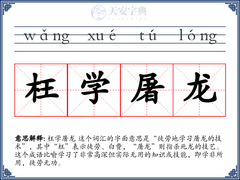 枉学屠龙