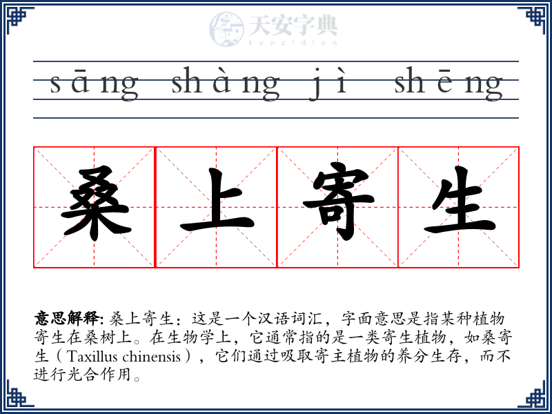 桑上寄生