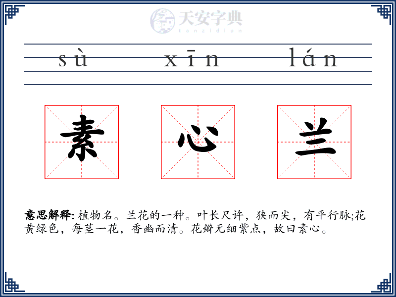 素心兰