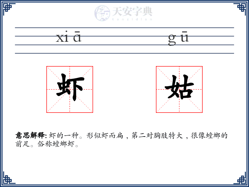 虾姑