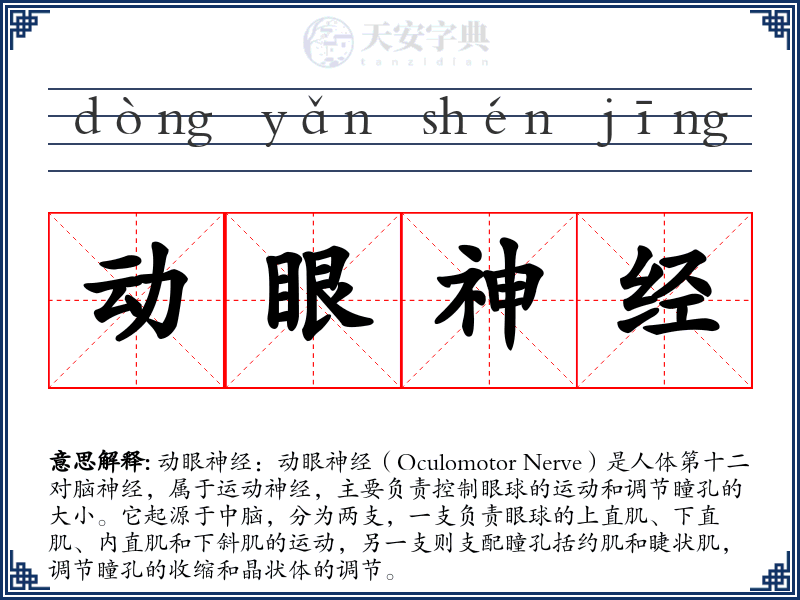 动眼神经