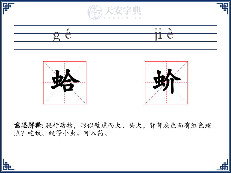 蛤蚧
