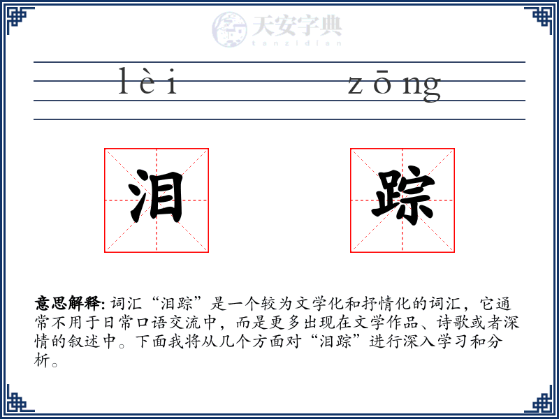 泪踪