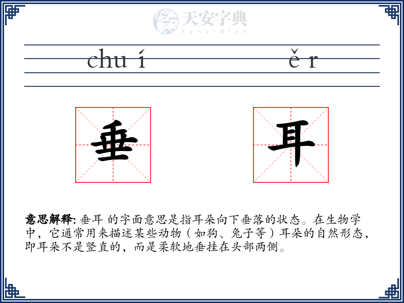 垂耳