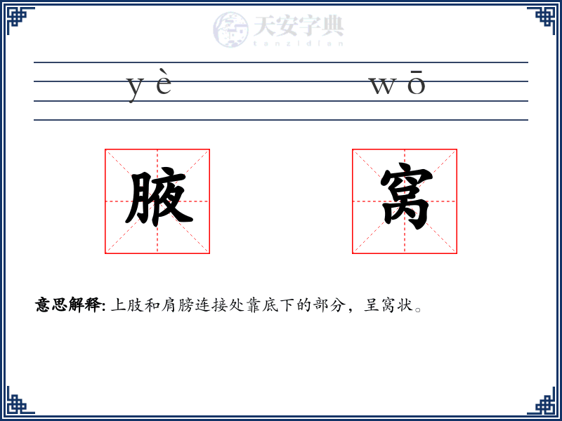 腋窝