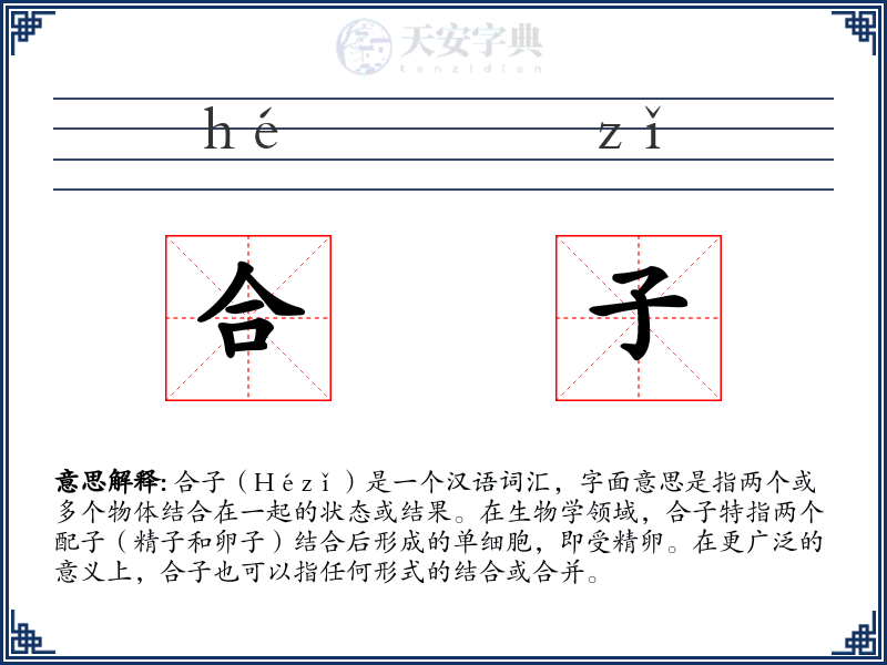 合子
