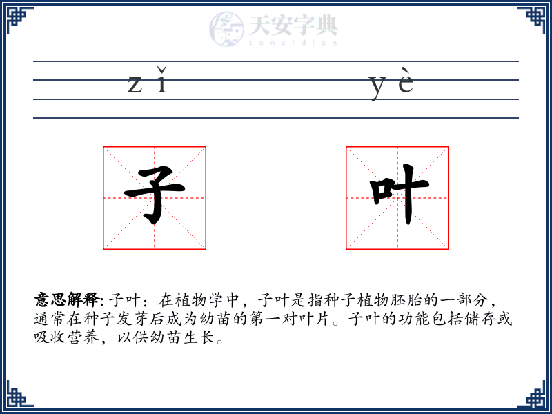 子叶