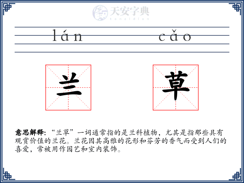兰草