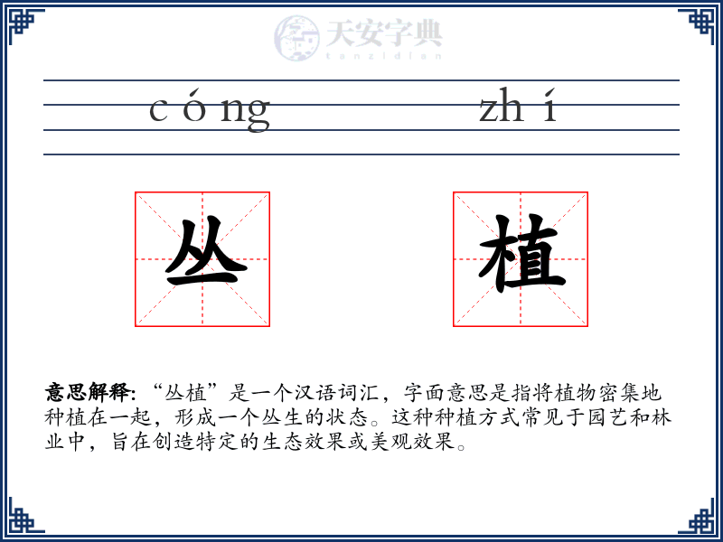 丛植