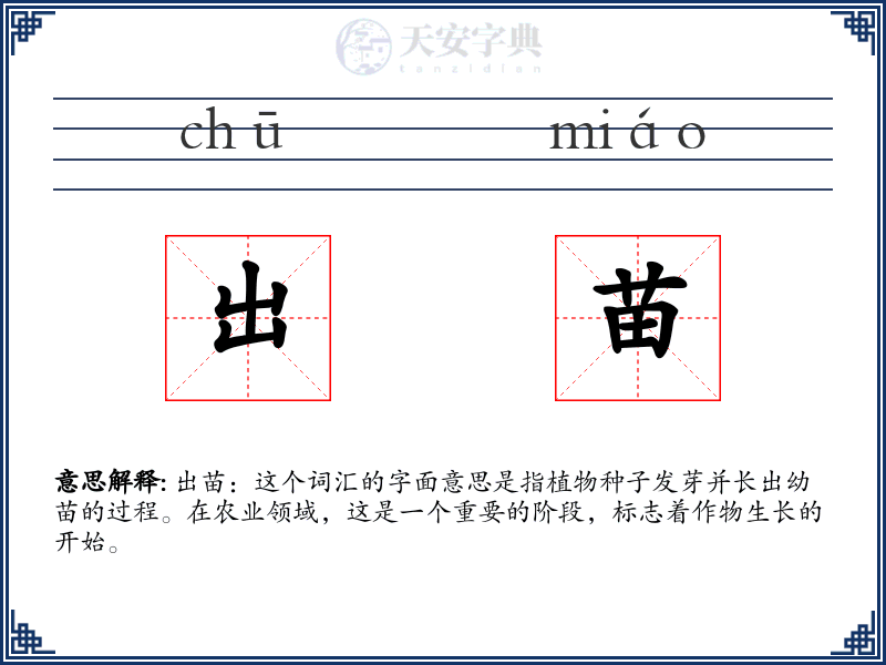 出苗