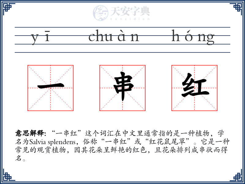 一串红