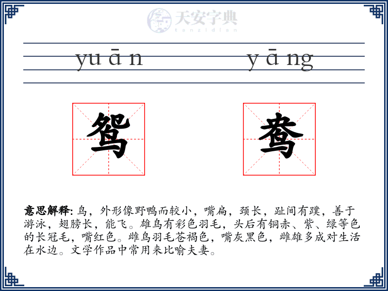 鸳鸯