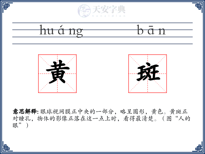 黄斑