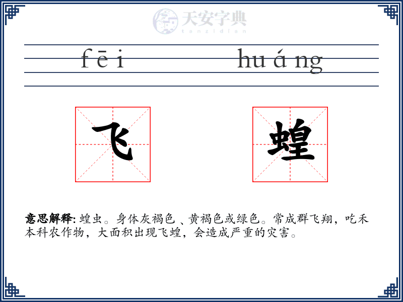 飞蝗