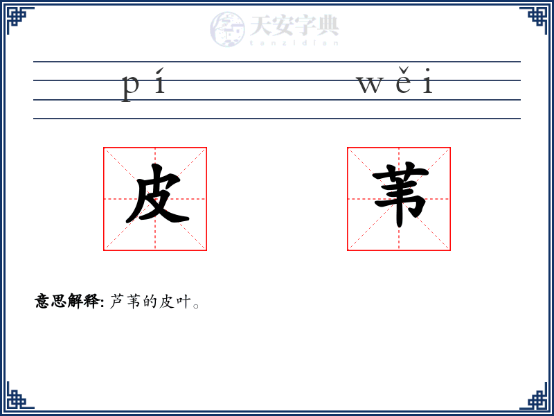 皮苇