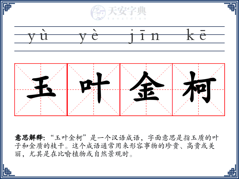 玉叶金柯