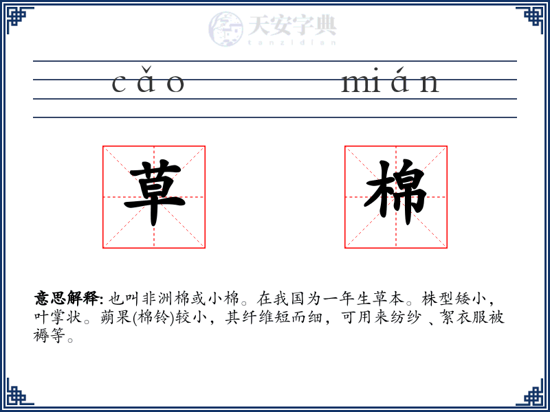 草棉