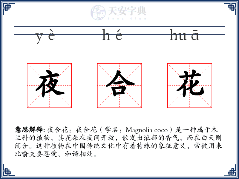 夜合花
