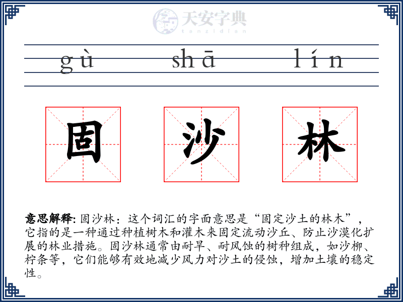 固沙林