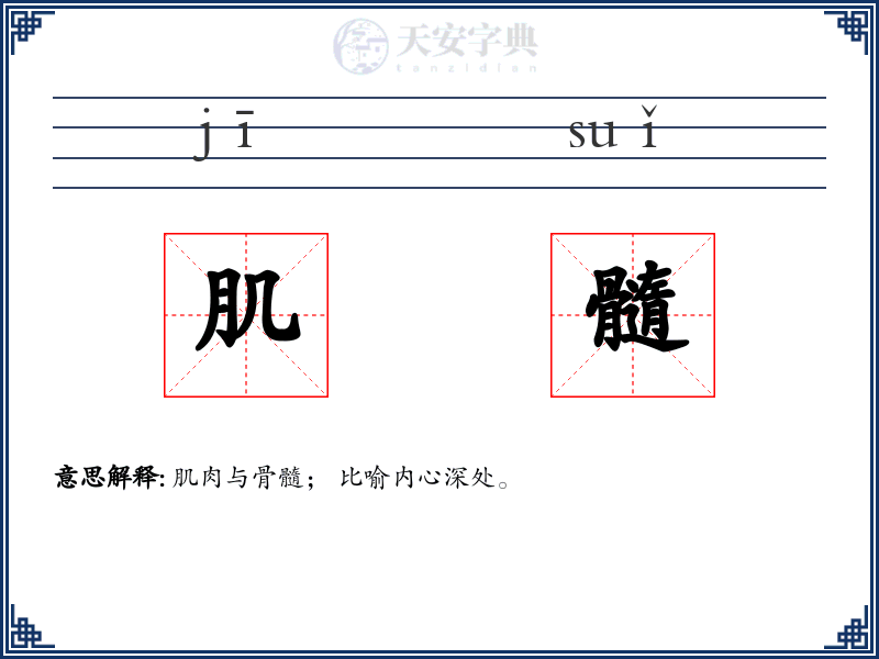 肌髓