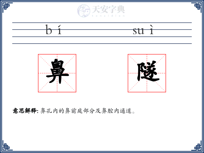 鼻隧