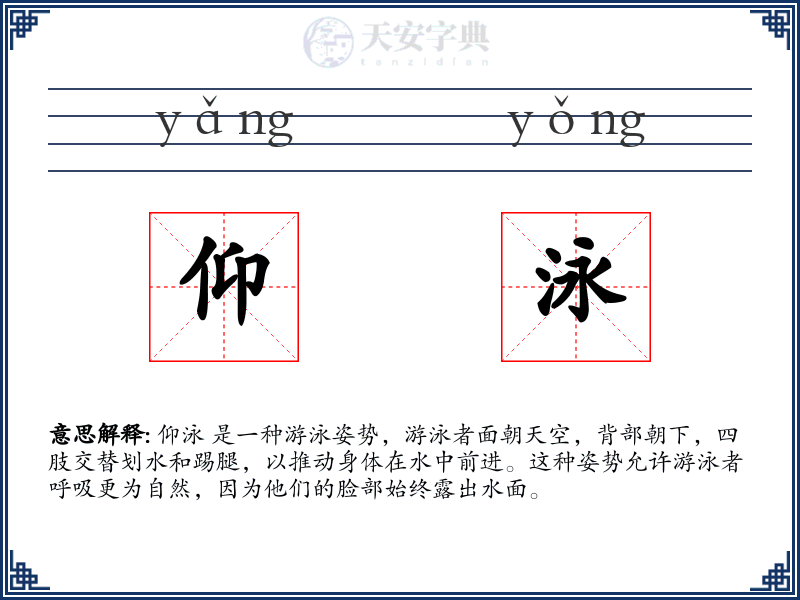仰泳