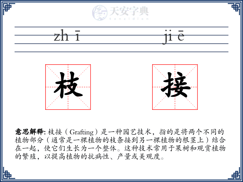 枝接