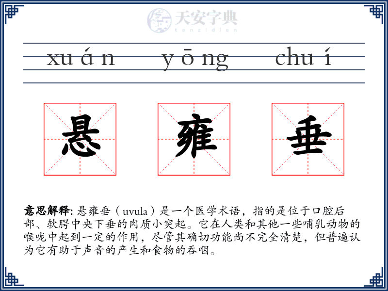 悬雍垂
