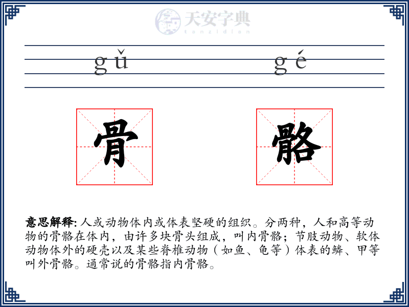 骨骼