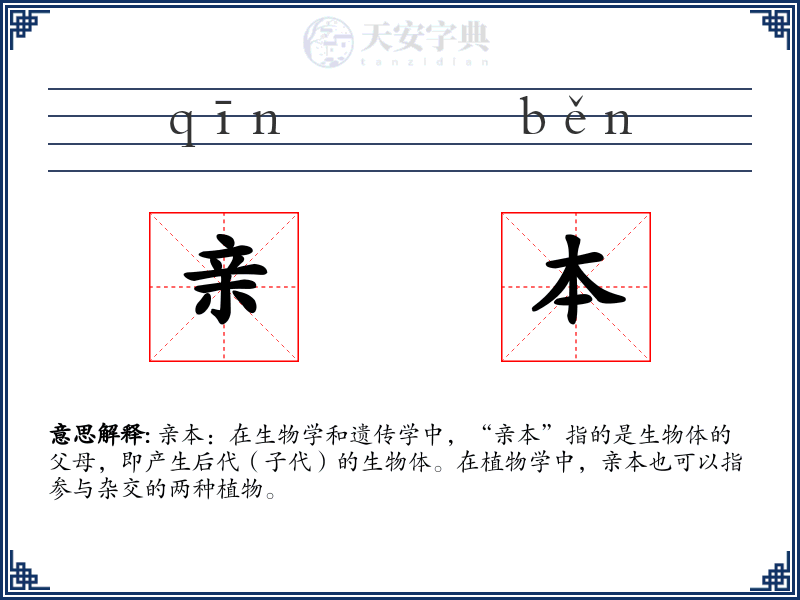 亲本