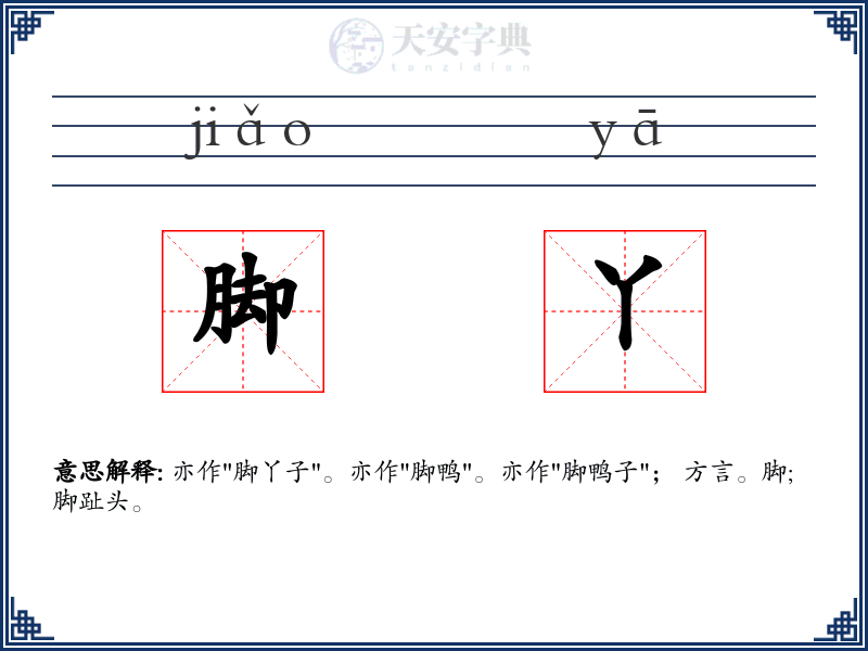 脚丫
