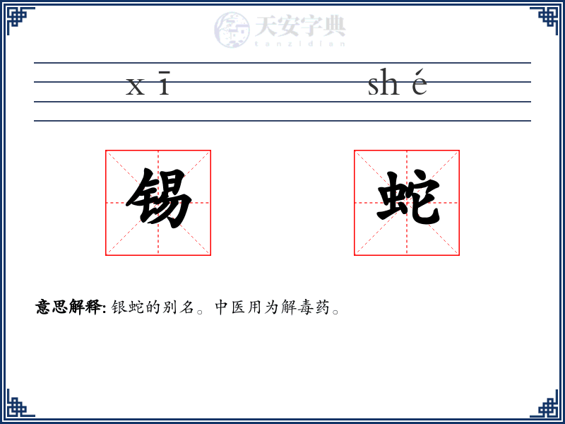 锡蛇