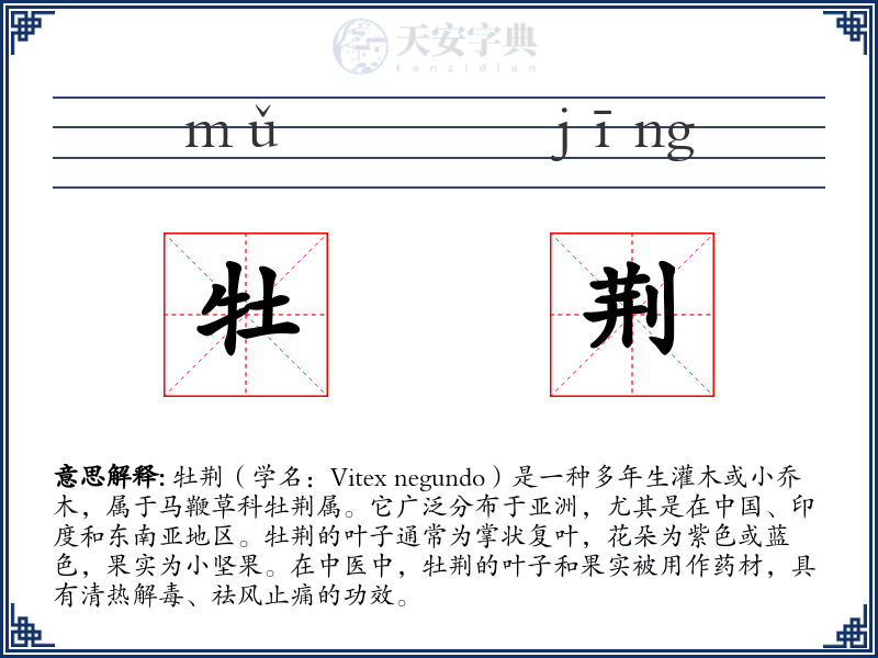 牡荆