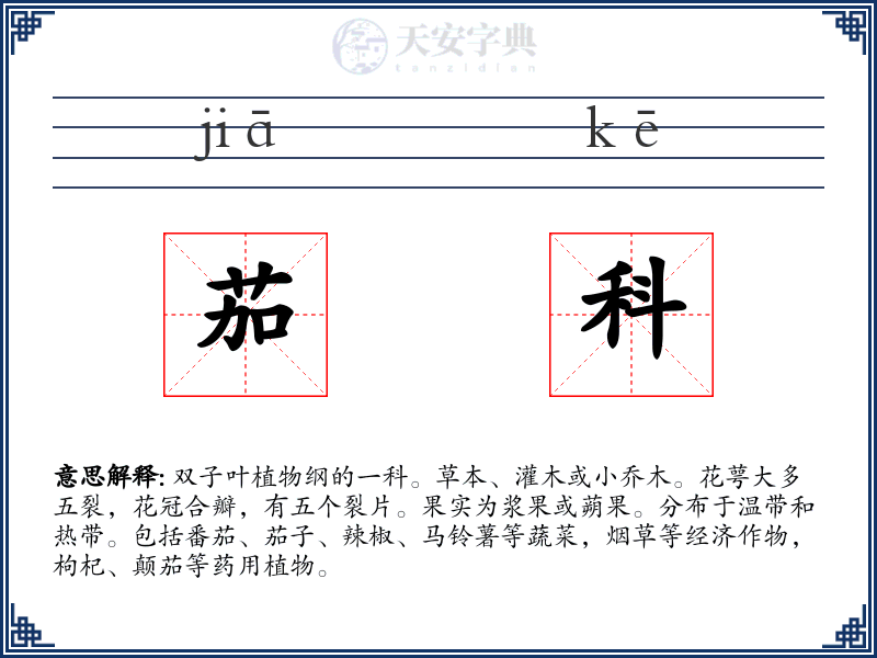 茄科