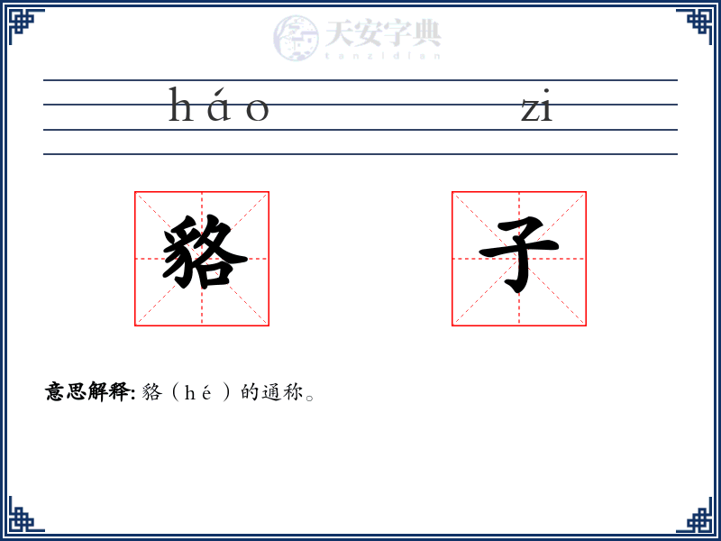貉子