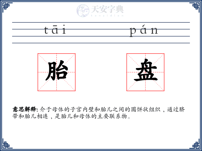 胎盘