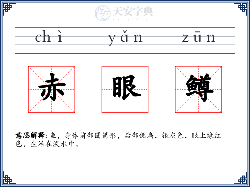 赤眼鳟